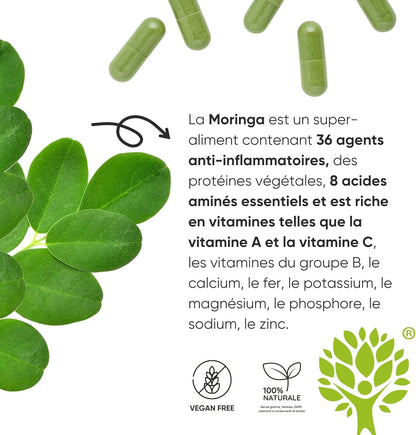Moringa Bio | La Seule Moringa Biologique Produite En Italie | Véganes Sans Additifs | Super Antioxydant Riche En Vitamines Et Protéines Végétales | Haute Qualité  | 90 Gélules